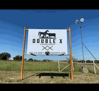 Double X Veterinary Services Logo